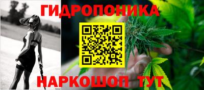 ALPHA PVP Новозыбков