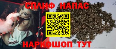 спиды Обь