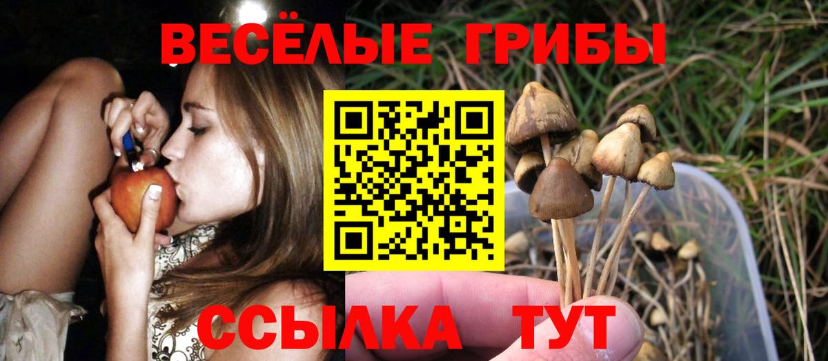 Псилоцибиновые грибы GOLDEN TEACHER Чапаевск